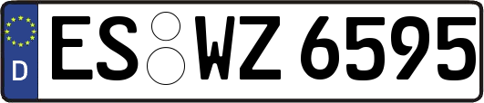 ES-WZ6595