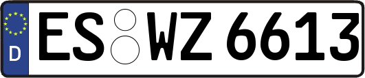 ES-WZ6613