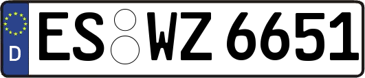 ES-WZ6651