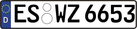 ES-WZ6653
