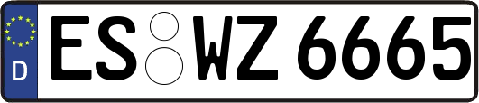 ES-WZ6665