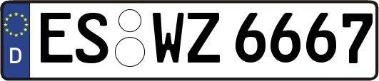 ES-WZ6667