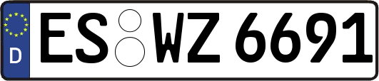 ES-WZ6691