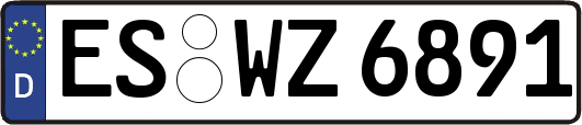 ES-WZ6891