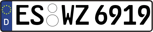 ES-WZ6919