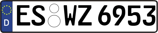 ES-WZ6953