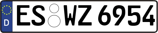ES-WZ6954