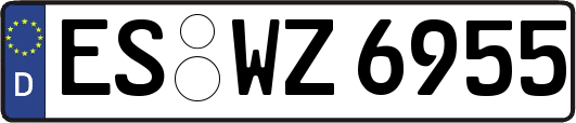 ES-WZ6955