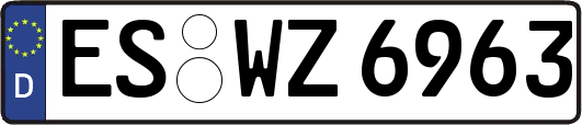 ES-WZ6963