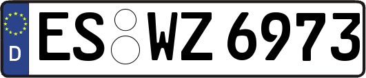 ES-WZ6973