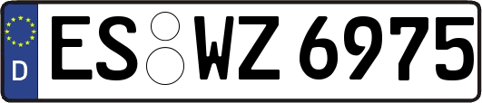 ES-WZ6975