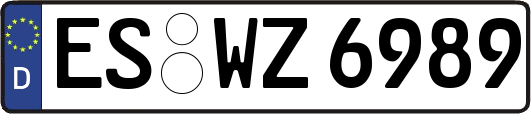 ES-WZ6989