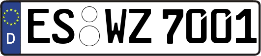 ES-WZ7001