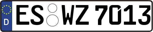 ES-WZ7013
