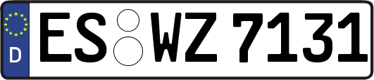ES-WZ7131