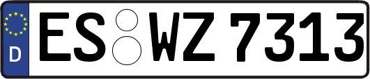ES-WZ7313