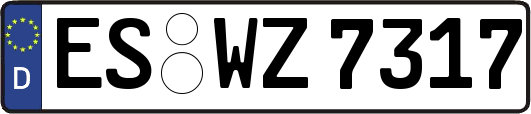 ES-WZ7317