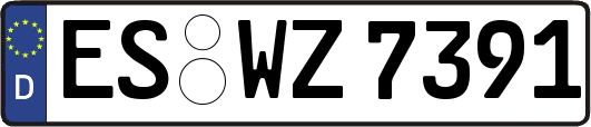 ES-WZ7391