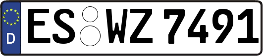 ES-WZ7491