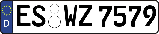 ES-WZ7579