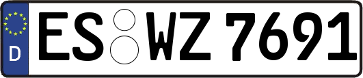 ES-WZ7691