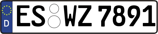 ES-WZ7891