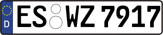 ES-WZ7917