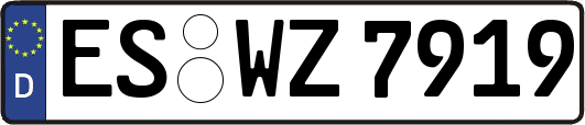 ES-WZ7919