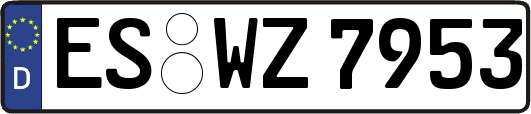 ES-WZ7953