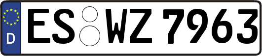 ES-WZ7963