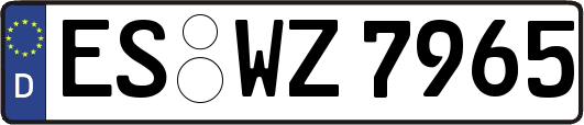 ES-WZ7965