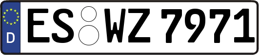 ES-WZ7971