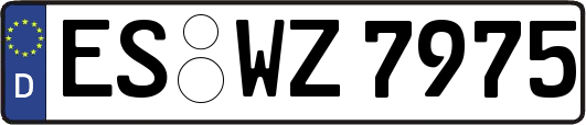 ES-WZ7975