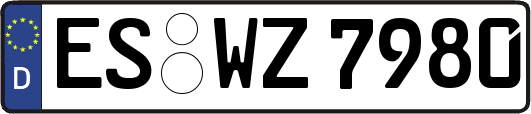 ES-WZ7980