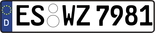 ES-WZ7981