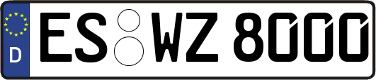 ES-WZ8000