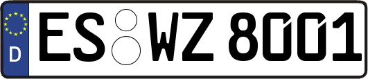 ES-WZ8001