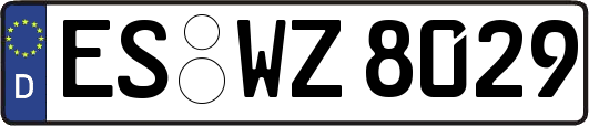 ES-WZ8029