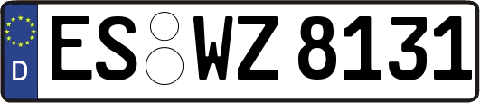ES-WZ8131