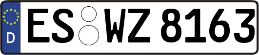 ES-WZ8163
