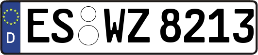 ES-WZ8213