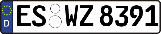 ES-WZ8391