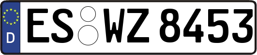 ES-WZ8453