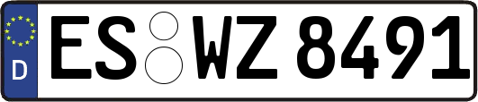 ES-WZ8491