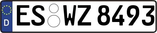 ES-WZ8493