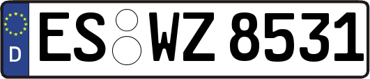ES-WZ8531