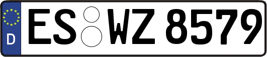 ES-WZ8579