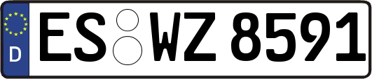 ES-WZ8591