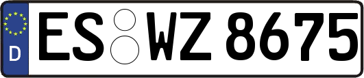 ES-WZ8675