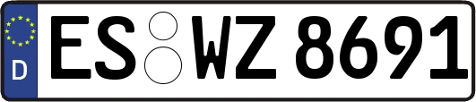 ES-WZ8691